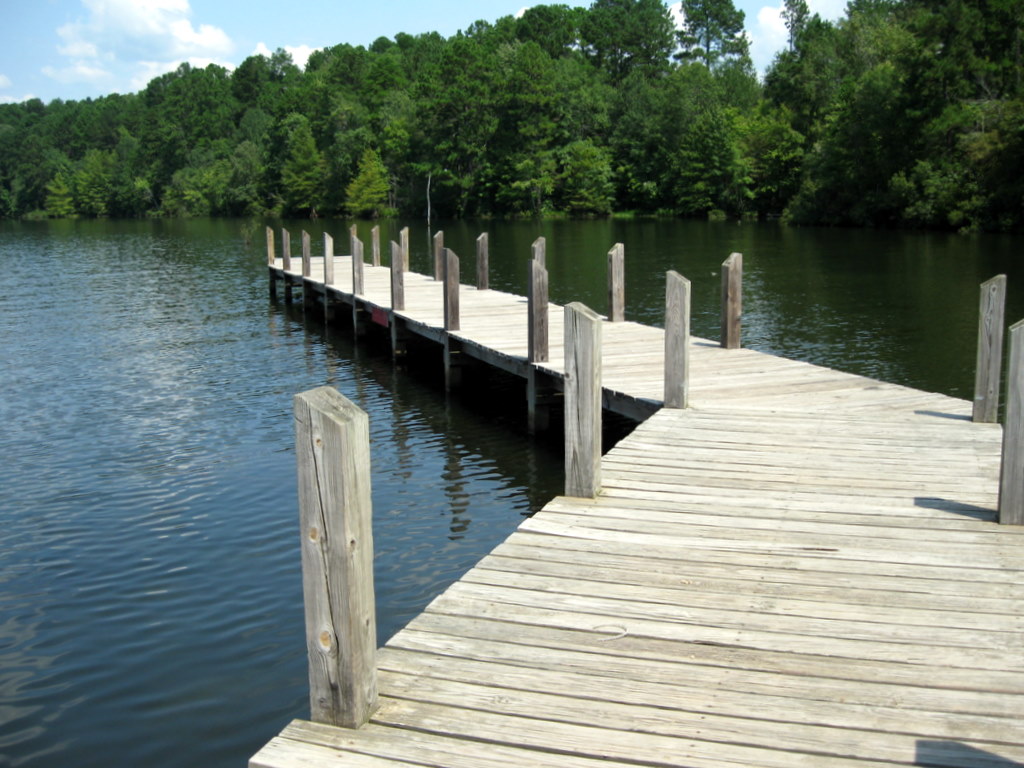 Boardwalk and shoreline at Lake Claiborne State Park in Louisiana.