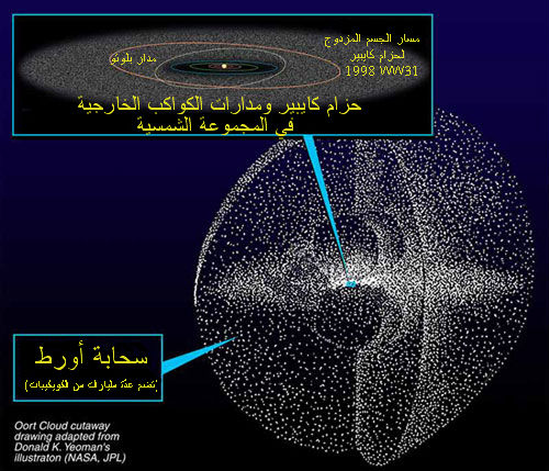 Illustration/diagram showing the Kuiper Belt and Oort Cloud regions of the outer Solar System, indicating where distant small bodies such as Kuiper Belt objects and comets are located.