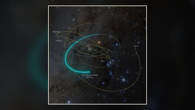 3D view of the Solar System showing the orbital pathway and position of newly discovered dwarf‑planet candidate 2026 ED138 with the orbits of known dwarf planets for context.