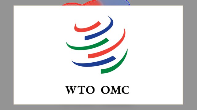 Blue banner bearing the World Trade Organization (WTO) logo and wordmark, representing the WTO as an institution.