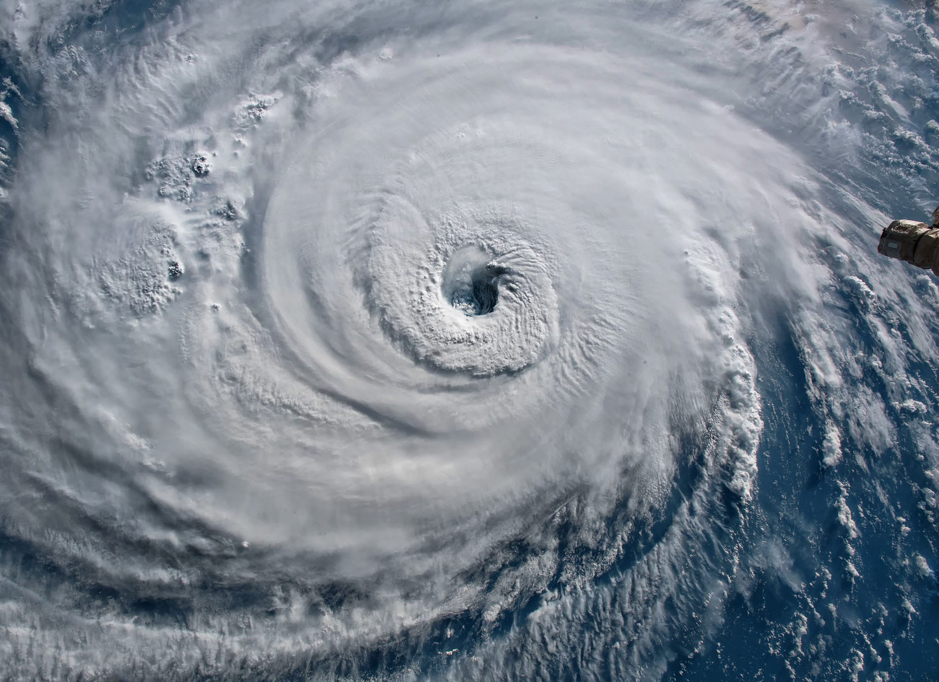 Satellite view of a tropical cyclone off the Florida coast (no exaggerated impacts); include caption noting Bertha formed off Florida and is forecast to approach the northern Gulf Coast, attribution to NOAA/National Weather Service if available.